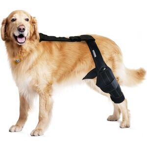XL Dog Knee Brace for Rear Leg, ACL Recovery Support, Black, Osteoarthritis Aid
